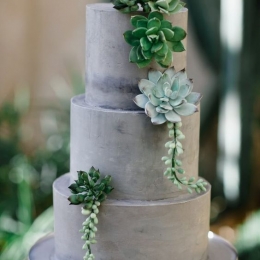 С суккулентами