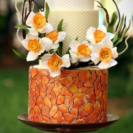 С нарциссами