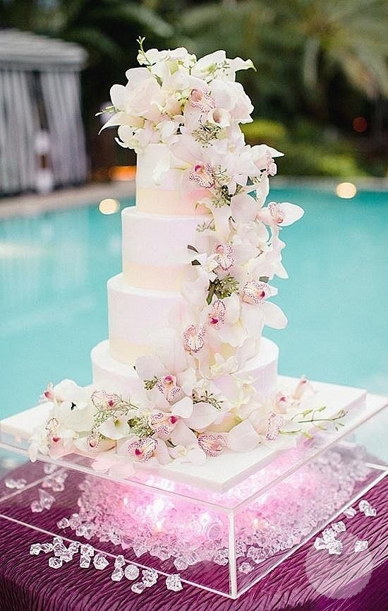 свадебный торт с живыми орхидеями