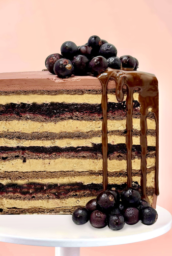 «Шоколадно-смородиновый Добыш»