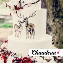 Торт «Зимний подарок»  на заказ