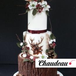 Торт «Зимний вечер»  на заказ