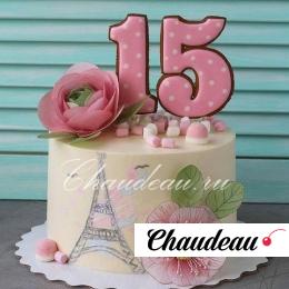 Торт на 15 лет девушке фото Торт на 15 лет девушке с цифрами