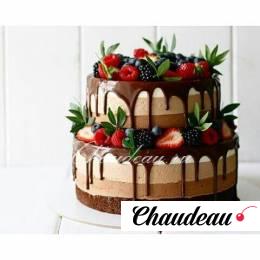 шоколадно ягодный торт от Chaudeau фото шоколадно ягодный торт от Chaudeau