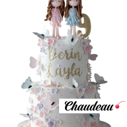 Торт с двумя малышами TDM00013116
