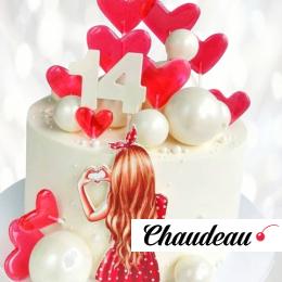 Воздушные шары для девочки на 14 лет VSHD013169 фото и оформление торта