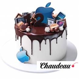 Торт Apple на 12 лет №1719