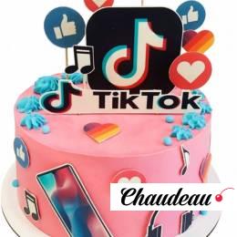 Торт в стиле Тик Ток №1976