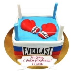 Торт Боксеру на 14 лет №2796