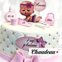 Торт "Один год у власти" (для малышки) TGUV013201 фото и оформление торта