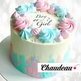 Торт Гендер-пати (Мальчик или Девочка) TGID013203 фото и оформление торта