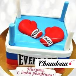 Торт для боксера на 14 лет TB1L0013262 фото и оформление торта