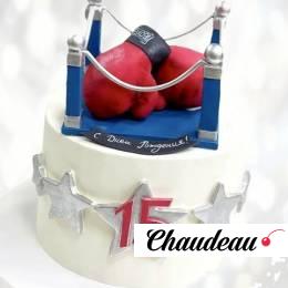 Подарок боксеру на 15 лет (торт) PB1L013263 фото и оформление торта