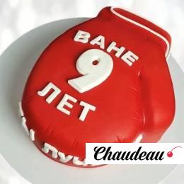 Боксерский торт на именины 9 лет BTI9013264 фото и оформление торта