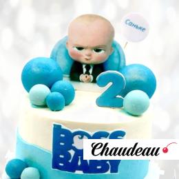Босс Молокосос на 2 года BM2G013268 фото и оформление торта