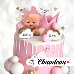 Торт по мультфильму "Босс Молокосос" TMM0013269 фото и оформление торта