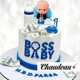 Торт Босс Молокосос с данными о рождении TBMD013270 фото и оформление торта