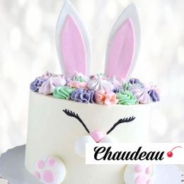 Торт в виде головы кролика TVGK013290 фото и оформление торта