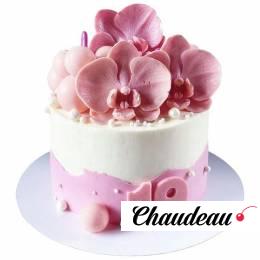 Торт Бело-розовый на 19 лет №2608