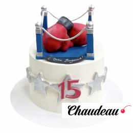 Торт Боксеру на 15 лет №2797