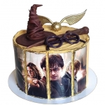 Торт Гарри Поттер с фотопечатью №1137