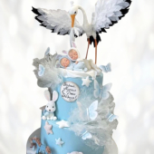 Торт на выписку сыну TVS0013365 фото и оформление торта