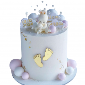 Торт для новорожденной девочки TND0013366