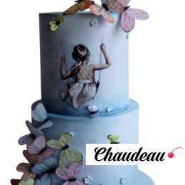 Торт Девушка с бабочками TDB0013344