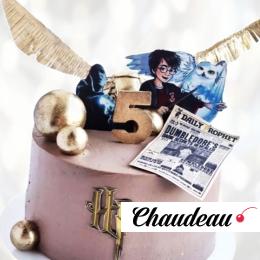 Гарри Поттер торт на 5 лет GPT5013310 фото и оформление торта