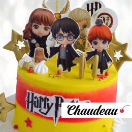 Торт Хогвартс с фотопечатью THF0013312 фото и оформление торта