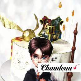 Торт факультета Гриффиндор TFG0013325 фото и оформление торта