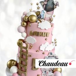 Двухъярусный торт с котиками DTK0013336 фото и оформление торта