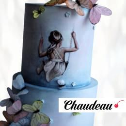 Элегантный торт: девушка и бабочки ETDB013344 фото и оформление торта