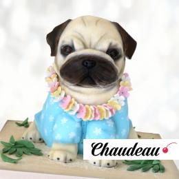 Торт в форме мопса TFM0013346 фото и оформление торта