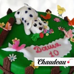 Торт 101 Далматинец T1D0013350 фото и оформление торта