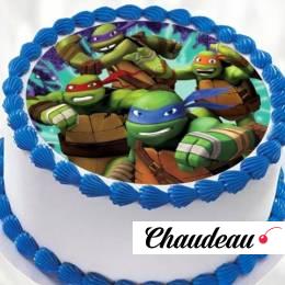 Торт Черепашки Ниндзя TCHN013353 фото и оформление торта