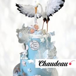 Торт на выписку сыну TVS0013365 фото и оформление торта