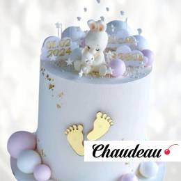 Торт новорожденной малышке TNM0013366 фото и оформление торта