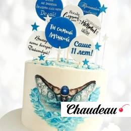 Торт пловцу на одиннадцатилетие TPO0013367 фото и оформление торта