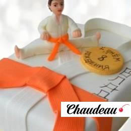 Торт боевые искусства TBI0013391 фото и оформление торта