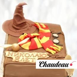 Торт в виде книги Гарри Поттера TVKG013393 фото и оформление торта