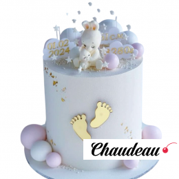 Торт для новорожденной девочки TND0013366