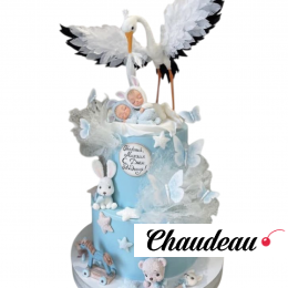 Торт для новорожденного мальчика TNM0013365