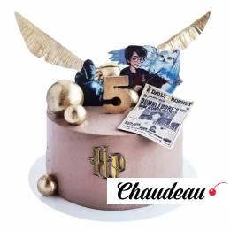 Торт Гарри Поттер на 5 лет №2929 Торт Гарри Поттер на 5 лет №2929