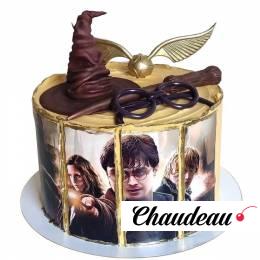 Торт Гарри Поттер с фотопечатью №1137 Торт Гарри Поттер с фотопечатью №1137