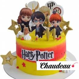 Торт Гарри Поттер с фотопечатью №2183 Торт Гарри Поттер с фотопечатью №2183