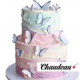 Торт розово-голубой с бабочками TRB0013496