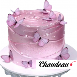 Торт Маме с бабочками TMB0013443