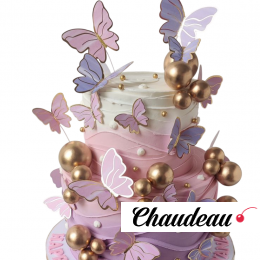 Торт розово-белый с принцессой и бабочками TRPB013494