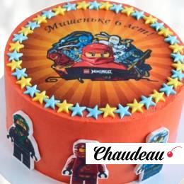 Торт Ninjago на шесть лет TNSH013405 фото и оформление торта